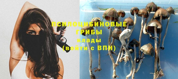 a pvp Армянск